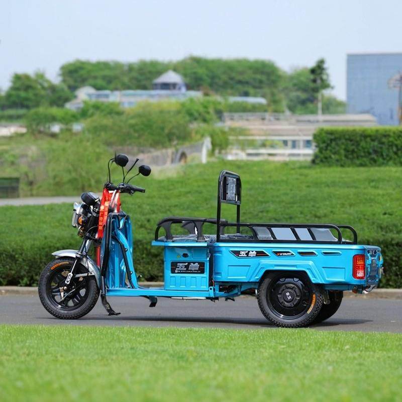 五羊家用代步接送拉货新款国标老人拉货休闲 外送小型电动三轮车