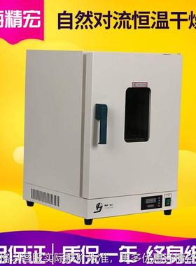 上海DHG-9241A实验室电热恒温干燥箱/恒温数显干燥箱