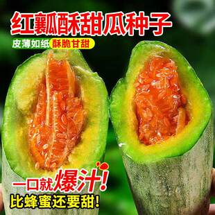 红瓤酥瓜薄皮甜瓜种子香瓜种籽四季高产水果黄瓜红壤酥甜瓜羊角瓜