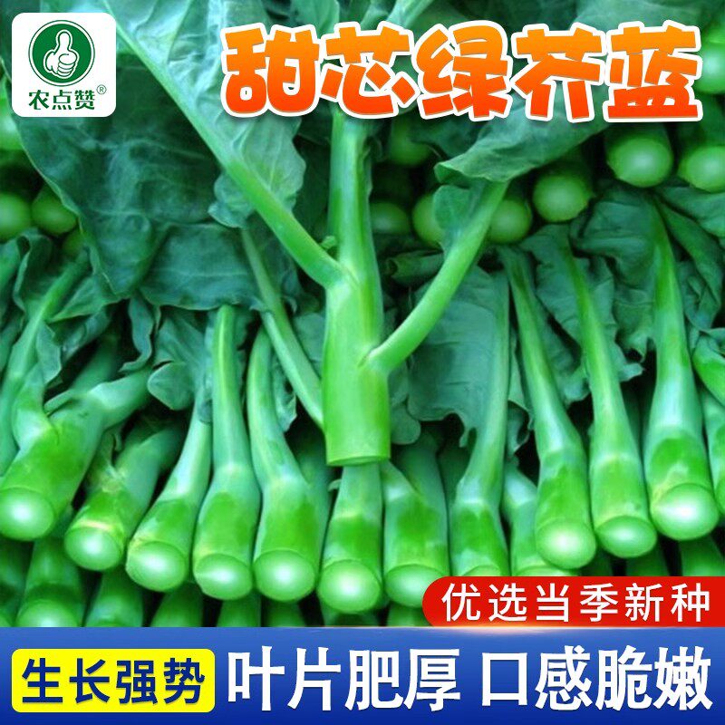 甜芯绿芥蓝种子柳叶百花甜脆芥兰种籽四季菜心种孑蔬菜农家种子,鲜花速递/花卉仿真/绿植园艺,家庭园艺种子,淘宝优惠券,粉丝福利购,淘宝优惠卷
