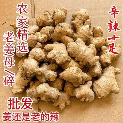 云南小黄姜老姜生姜新鲜黄姜土姜现挖子姜嫩姜鲜姜农家自种