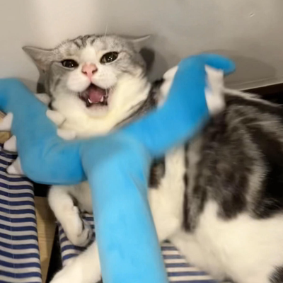 猫咪讨伐棒逗耐抓耐咬自