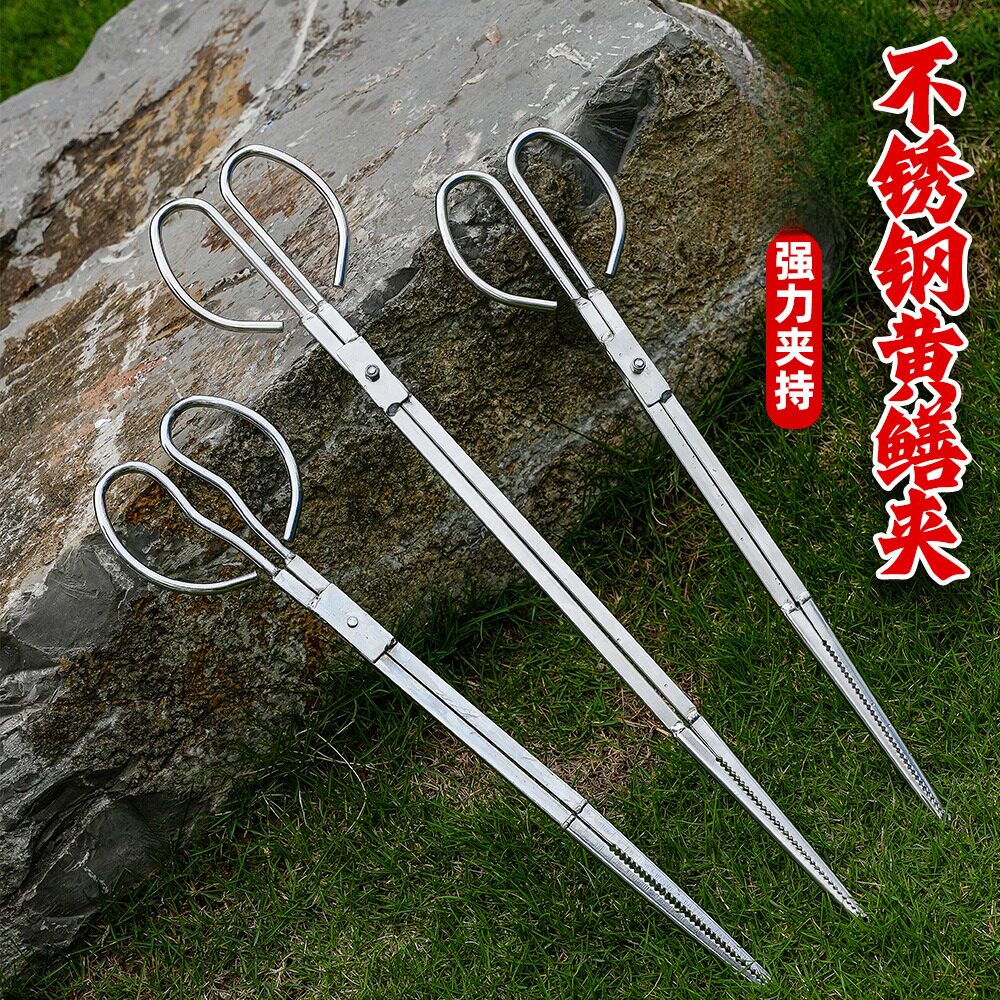 不锈钢黄鳝夹子防滑防脱赶海神器多功能控鱼夹鳝鱼泥鳅螃蟹专用钳