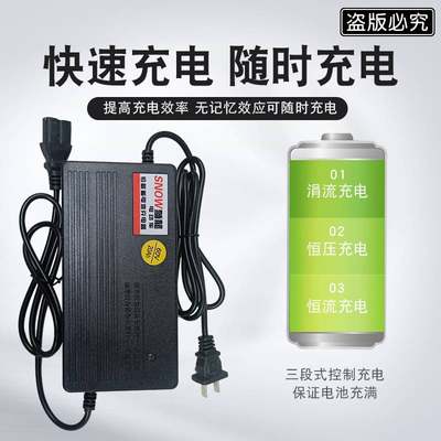 适用狮龙电动车电瓶充电器6V12AH48V20AH60V0AH72V2AH