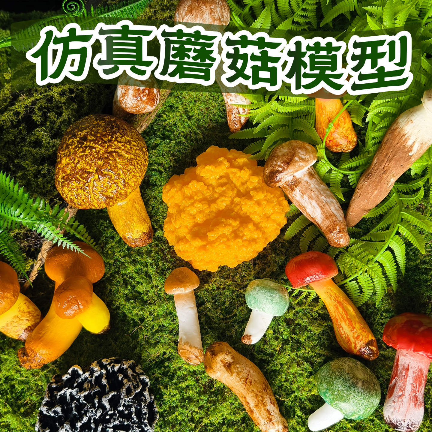 仿真野生食用蘑菇模型蔬菜水果模型餐厅布景摆件装饰品拍照微景观