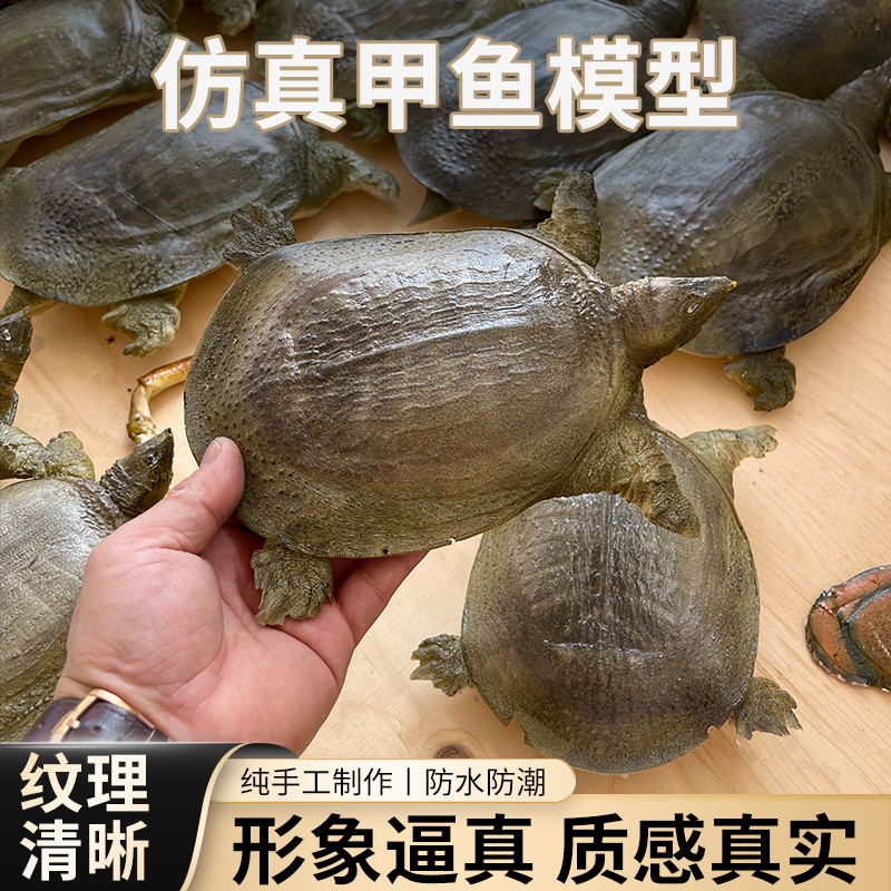 仿真假甲鱼团鱼乌龟草龟海龟标本食物模型可定制拍摄展示直播道具