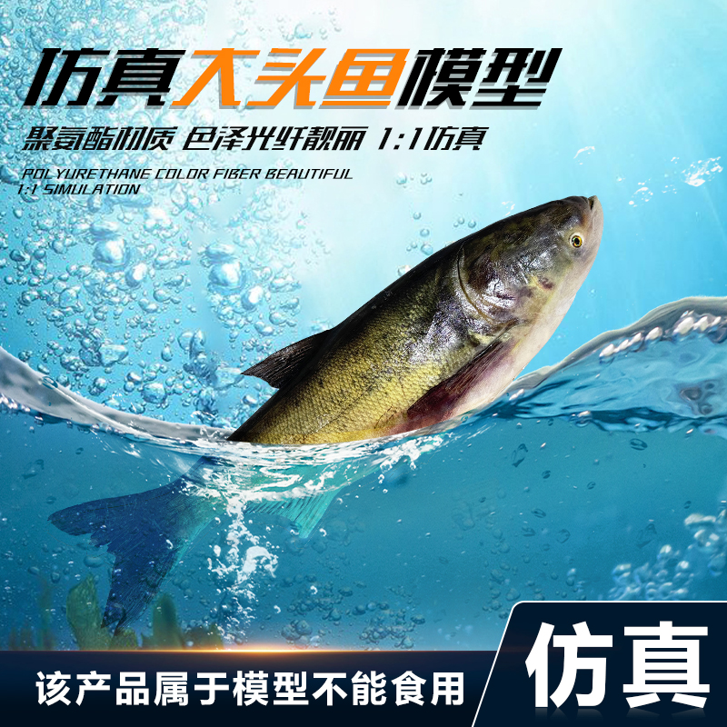 名匠仿真胖头鱼pu材质食品模型