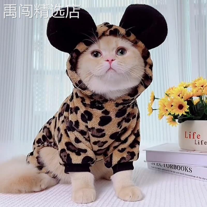 猫咪衣服秋冬装防掉毛可爱英短银渐层布偶猫德文小型犬狗狗四脚衣