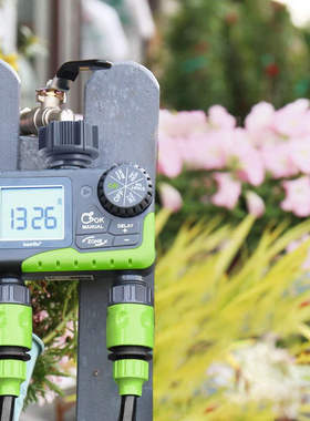 Rainpoint 双路灌溉 智能定时控制器 自动浇花水器 院子草坪