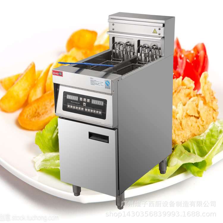 电炸炉 DF-EL6B立式双缸双筛电脑板炸炉 电炸锅 炸鸡薯条商用设备