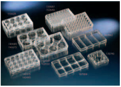 赛默飞 NUNC 167063 多孔细胞培养板 聚苯乙烯 带盖 孔数 4