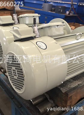 YP-50-4-6-4KW 高速变频电机CEMA SFC SNMA电机