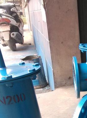 水上式底阀 SSDF-1 DN200 工厂直销 质优价美