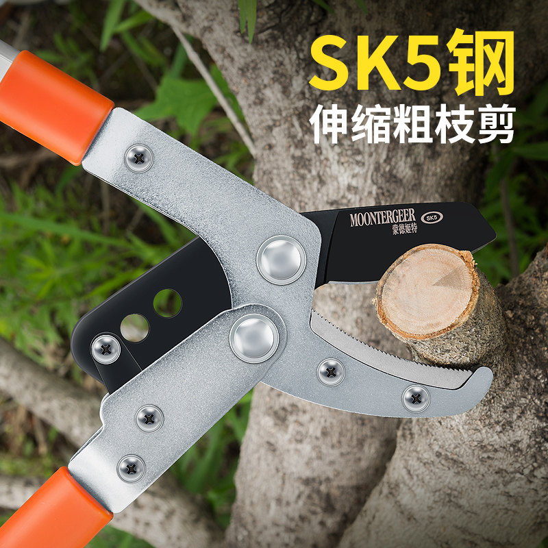 德国园林b大剪子枝剪剪树枝专用剪刀果树剪枝修枝剪修剪修粗枝剪图片