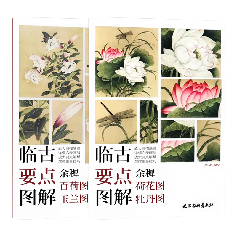 正版授权 临古要点图解-余穉荷花牡丹图 百合玉兰图 工笔花鸟画临摹画稿素描白描线描素材临摹底稿工笔花卉艺术绘画临摹范本