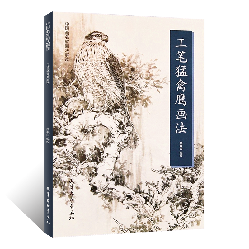 中国名家画法解读 工笔猛禽鹰画法 没骨工笔花鸟画绘画技法禽鹰临摹画