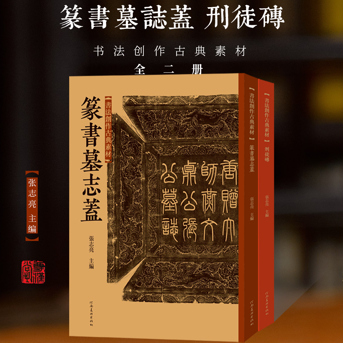 【全两册】书法创作古典素材篆书墓志盖刑徒砖汉碑铭文篆书毛笔书法字帖临摹技法书法篆刻初学者基础入门教程古汉字艺术创意设计