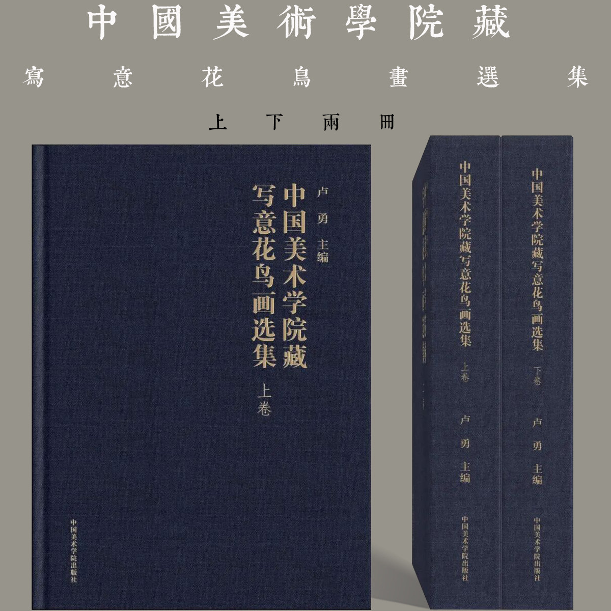 中国美术学院藏写意花鸟画选集明清文人花鸟绘画技法卢坤峰卢勇国画初学者基础教学体系写意花鸟蔬果藤木临摹范本艺术收藏鉴赏画集