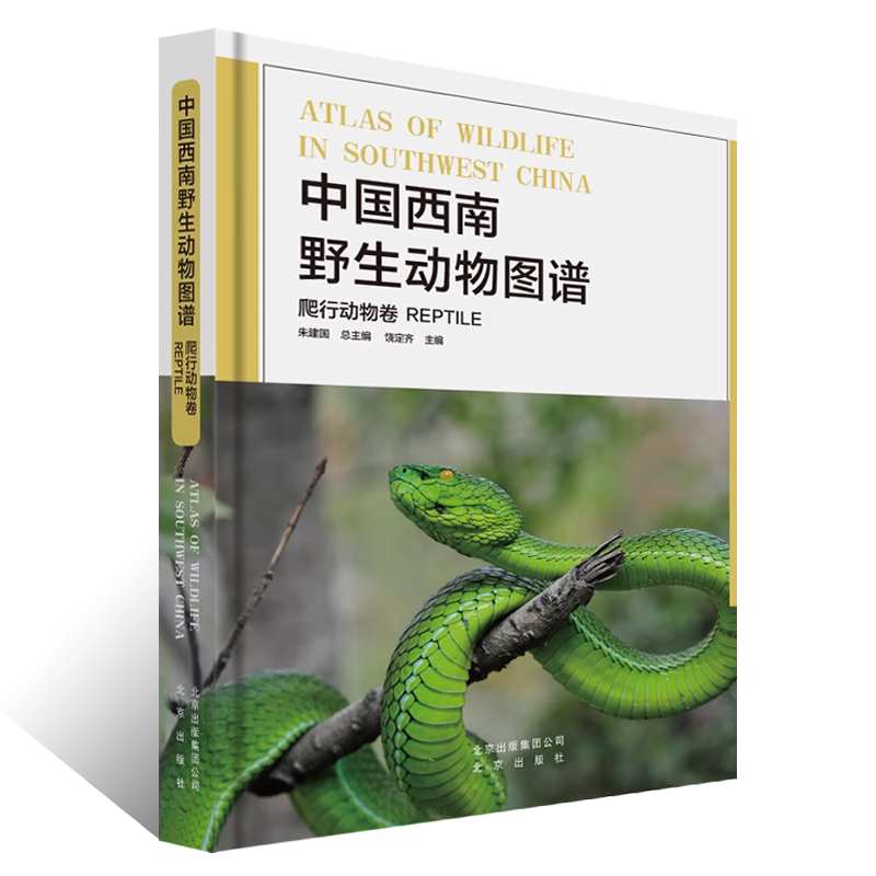 中国西南野生动物图谱 爬行动物卷云贵川藏广西自然生态野生特有珍稀爬行类动物生活习性特征科普读物生物学学术研究书北京出版社