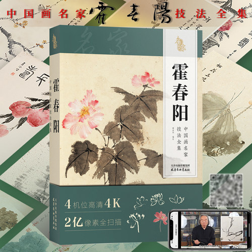 中国画名家技法全集 霍春阳写意水墨花鸟画临摹技法国画初学者零基础入门教材书籍临摹画稿 没骨花鸟画自学临摹素材绘画教学附视频