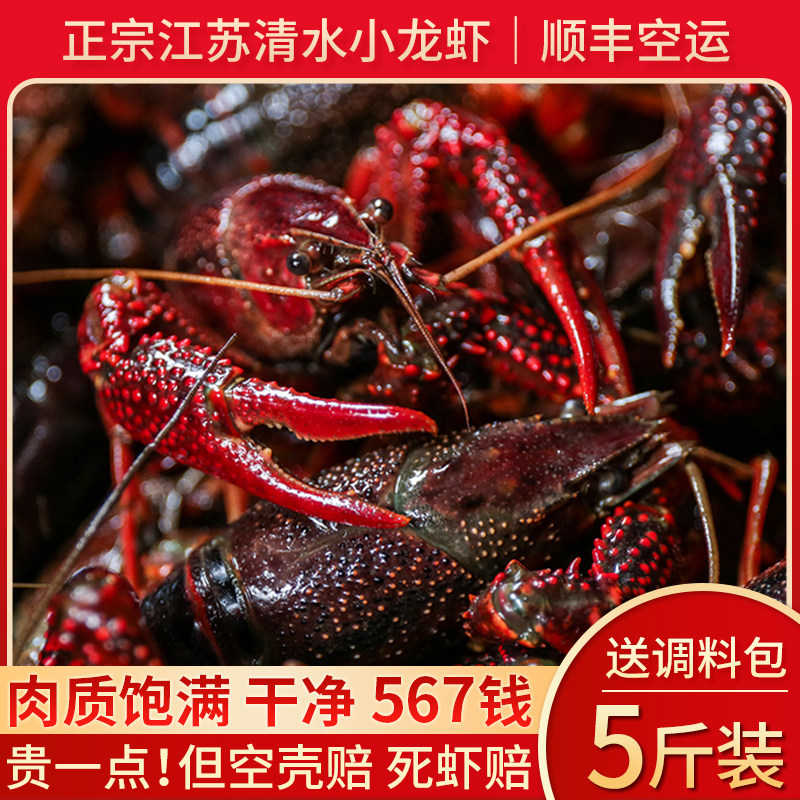 鲜活小龙虾现货567钱5斤净重江苏清水小龙虾特大养殖淡水龙虾批发,水产肉类/新鲜蔬果/熟食,活虾,淘宝优惠券,粉丝福利购,淘宝优惠卷