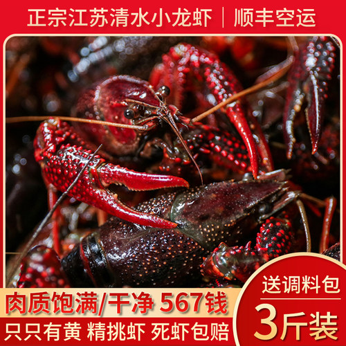 江苏清水鲜活小龙虾净重3斤装