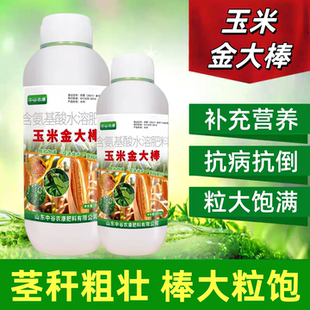 玉米提质增产玉米金大棒生根壮苗茎秆粗壮抗倒伏棒大粒饱中谷农康