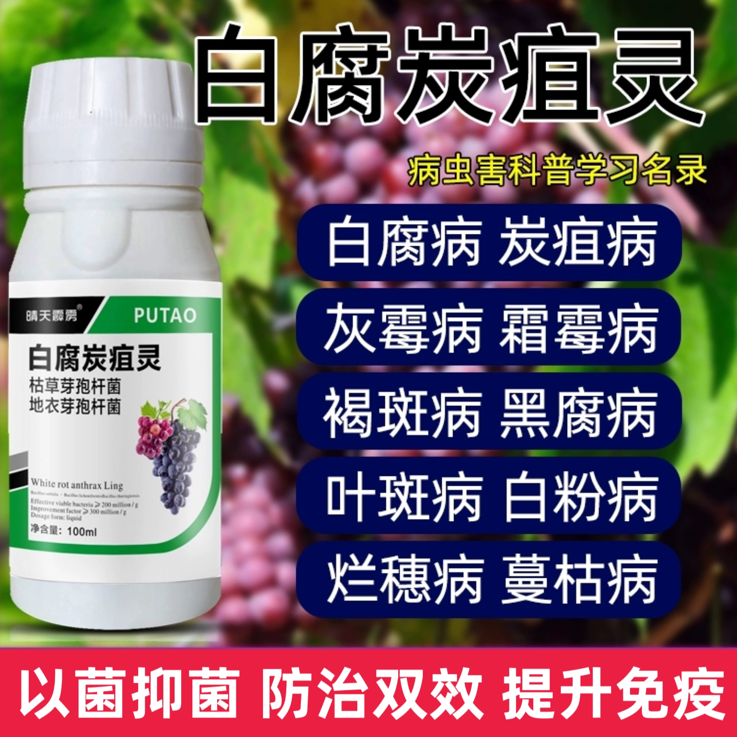 葡萄白腐炭疽病灵葡萄病专用药白粉病霜霉病叶斑病黑星病晴天霹雳