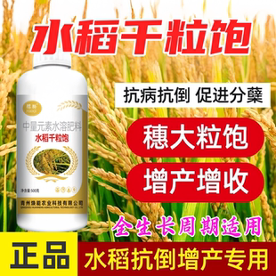 正品水稻千粒饱生根壮苗促进分蘖水稻增产膨大促进灌浆粒粒饱骠骑