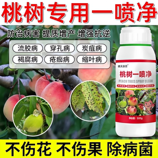 正品桃树一喷净桃树流胶病专用疮痂病穿孔病缩叶病炭疽病晴天霹雳