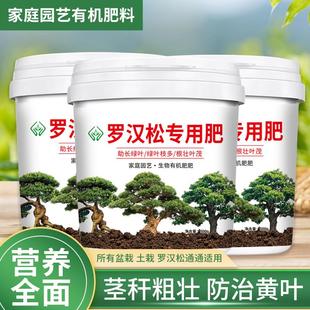 {罗汉松专用肥料}造型松树盆景专用有机肥缓释肥通用颗粒复合肥料