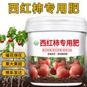 西红柿专用肥料番茄种菜肥料花肥颗粒缓释肥庭院盆栽绿色健康底肥