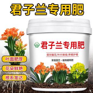 君子兰专用肥料促花催花生根花卉绿植爆盆大叶片茁壮颗粒缓释肥料