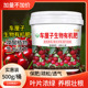 车厘子樱桃树专用肥料生物有机肥料果树复合肥氮磷钾颗粒缓释肥料