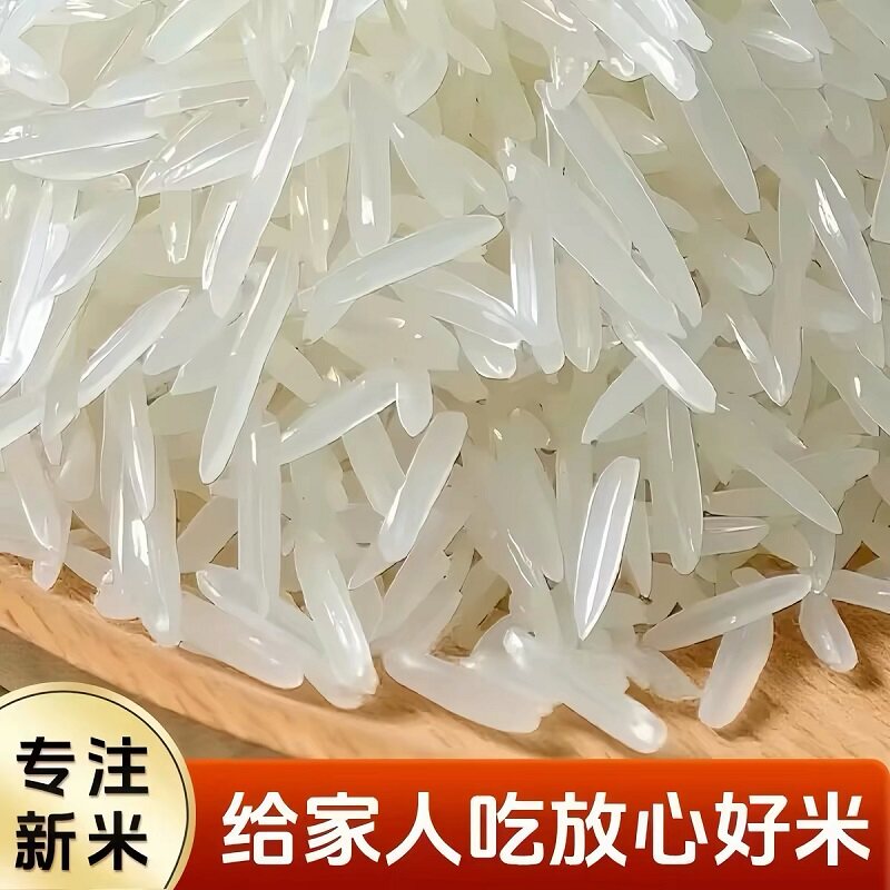 猫牙米正宗长粒香米象牙米软糯香甜有机无抛光细长米煲仔饭商用款