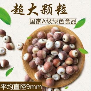 包邮 一级余干芡实24年新货干货圆粒500g新鲜货红皮茨实鸡头米自产