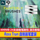 Ross CSP电子画笔原画素材 Photoshop笔刷预设工具 Tran 画笔套装