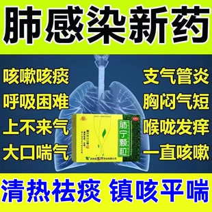 肺宁颗粒肺炎消炎药清肺祛痰肺部感染慢性支气管炎咳嗽发热痰多S