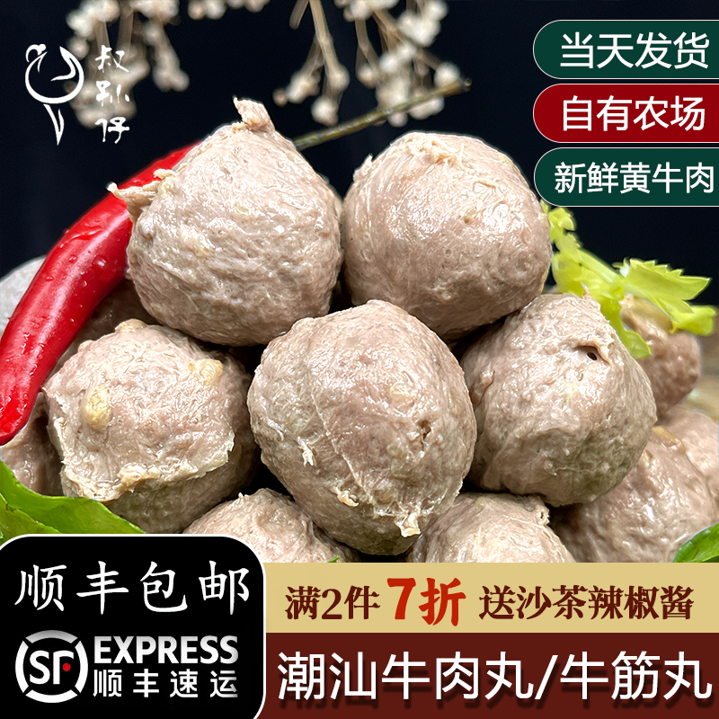 牛肉丸潮汕特产新鲜牛肉