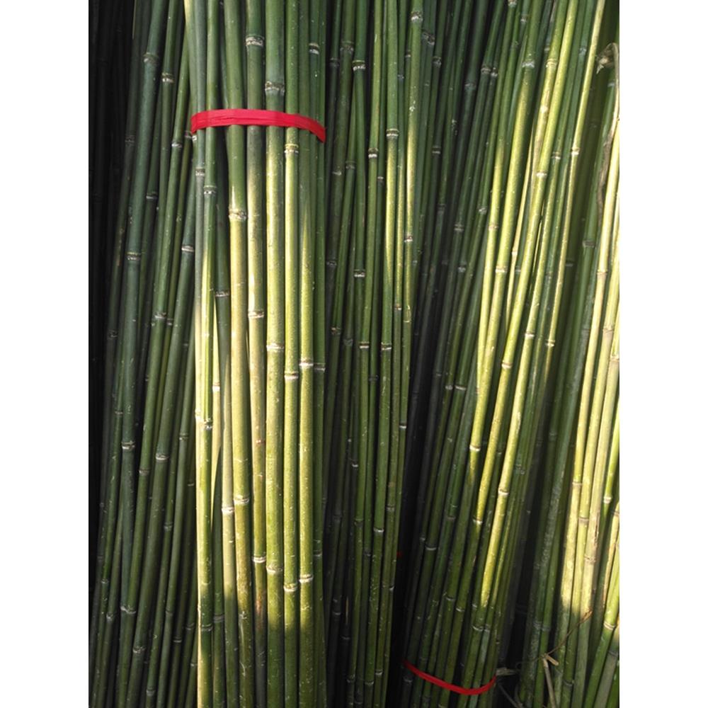 竹竿菜园搭架蔬菜黄瓜番茄豆角架杆竹篱笆栅栏小竹子细竹竿爬藤架