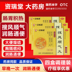 一正 搜风顺气丸 9g*10袋/盒润肠通便肠胃燥结胸隔痞闷