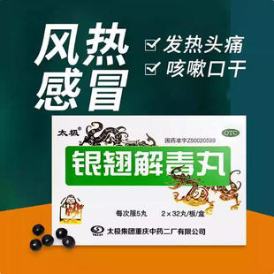 太极银翘解毒丸(浓缩丸)64丸风热感冒发热头痛咳嗽口干咽喉疼痛