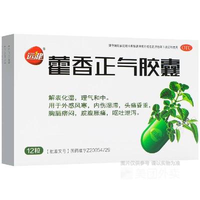 【远健】藿香正气胶囊0.3g*12粒/盒