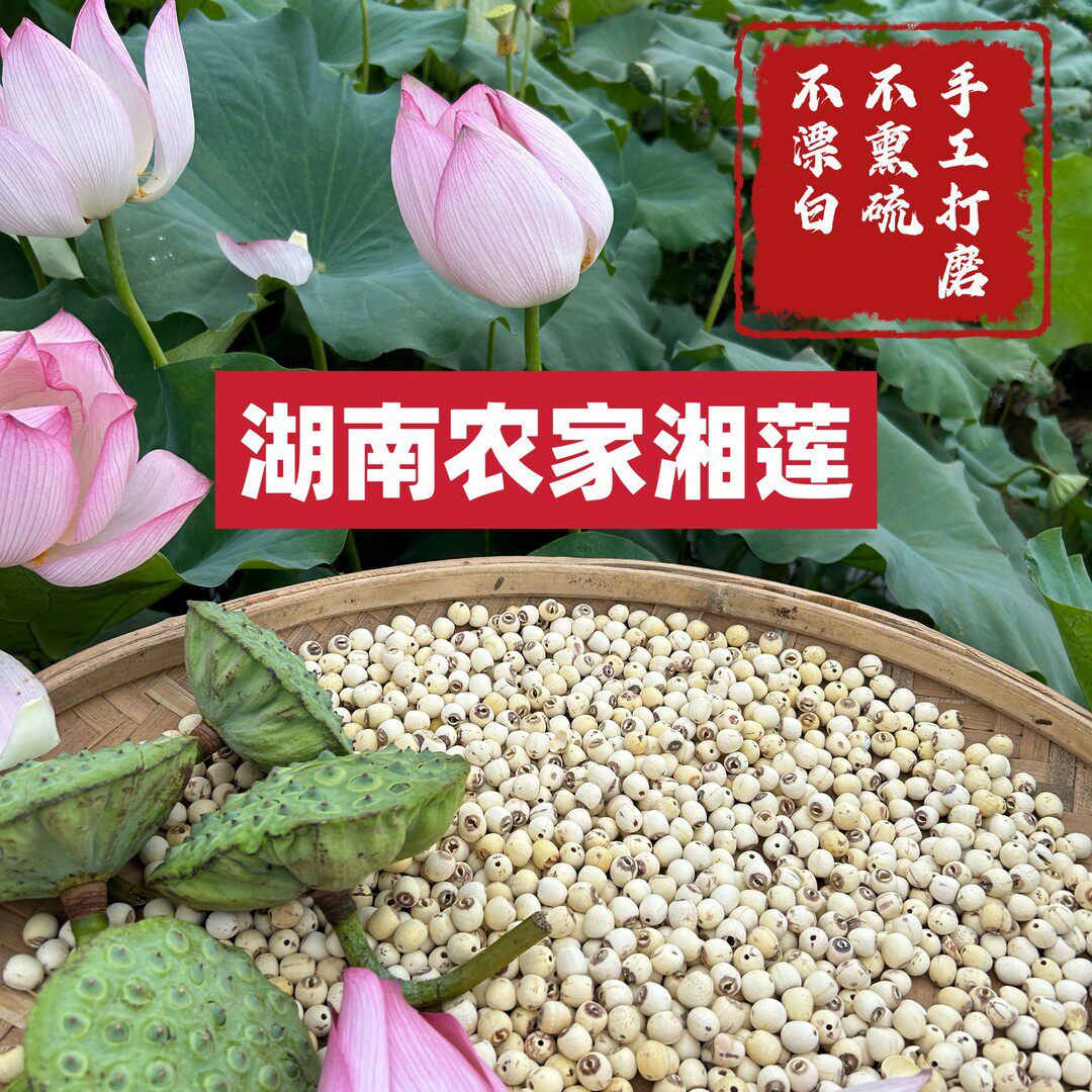 湘潭去芯白莲子干货磨皮饱满莲子煮粥煲汤滋补特产新鲜无硫