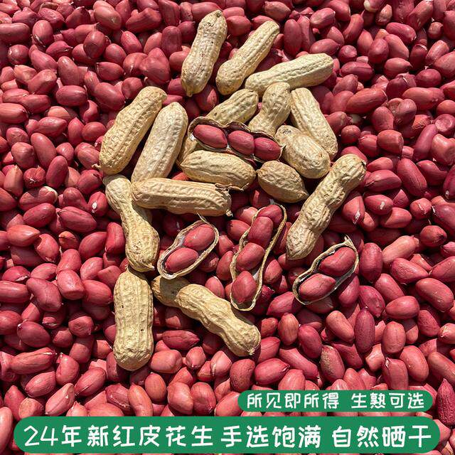 2024新货红皮小花生带壳农家自种四粒红花生红衣花生米花生仁带壳