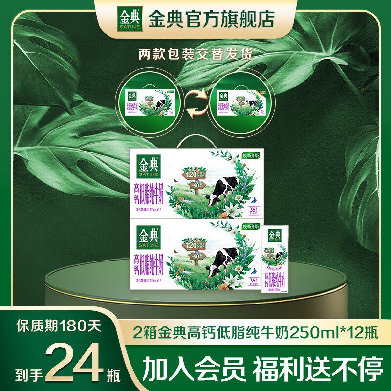 2箱金典高钙低脂纯牛奶250ml*12盒50%优质营养早餐奶整箱 5月