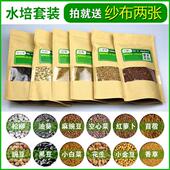 芽苗菜 无土栽培松柳麻豌豆白萝卜小麦油葵甜荞麦菜籽水培蔬菜 包邮