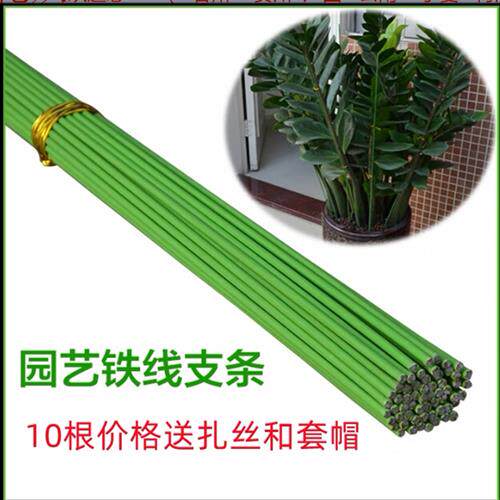 金钱树蝴蝶兰藤蔓植物专用造型固定支架园艺盆栽绿植花卉扶枝铁丝
