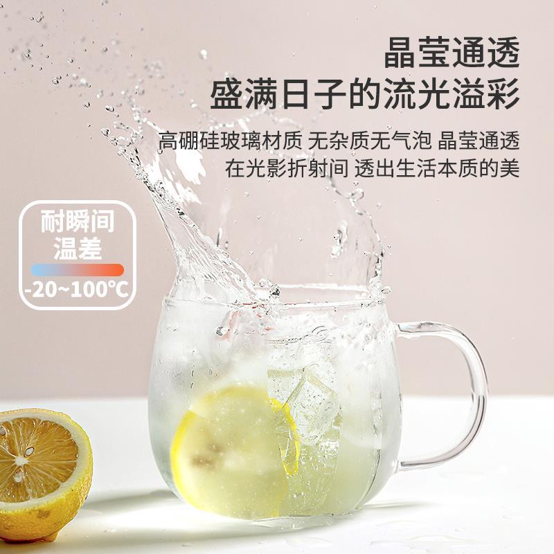 38N玻璃杯带把茶水分离女水杯耐高温花茶杯过滤泡茶杯家用杯子马
