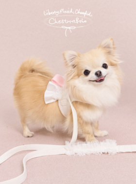 ChestnutBabe ButterSea蝴蝶结胸背 原创狗狗小型犬宠物牵引绳